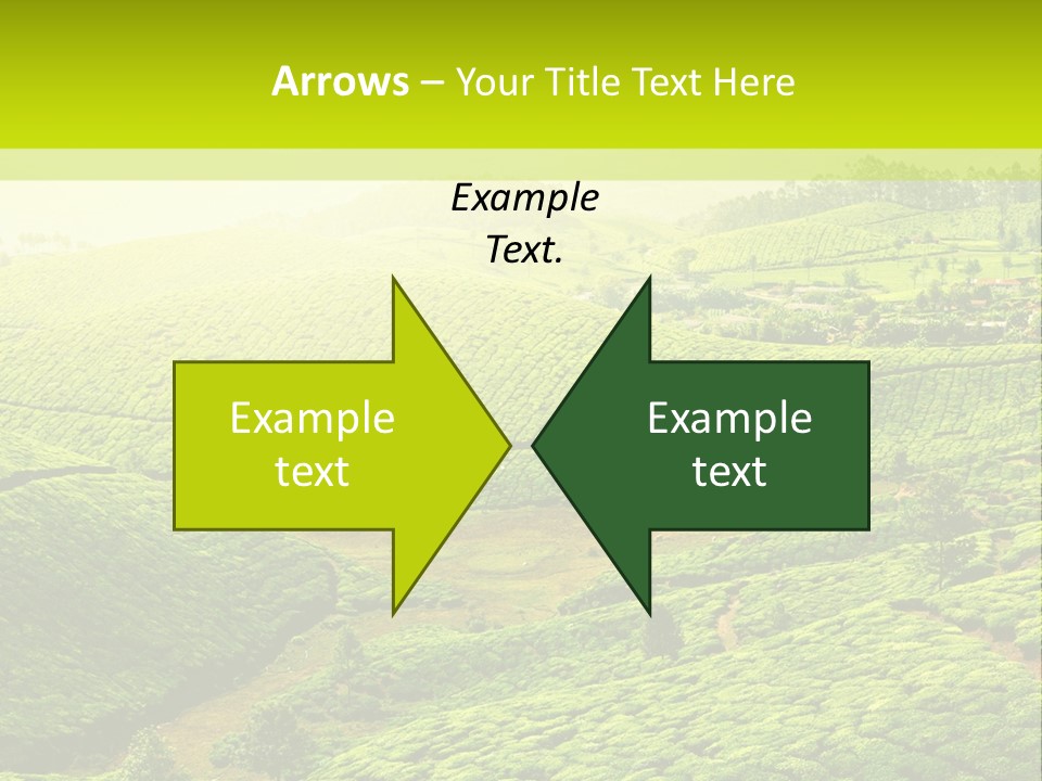 South Morning Asia PowerPoint Template