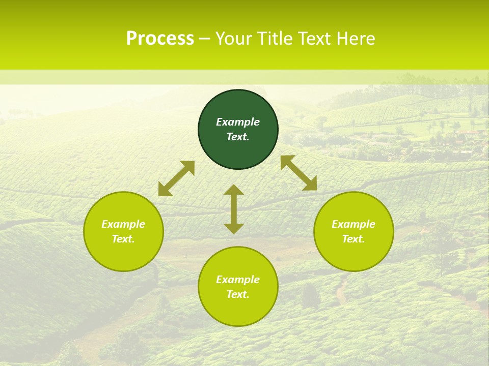 South Morning Asia PowerPoint Template