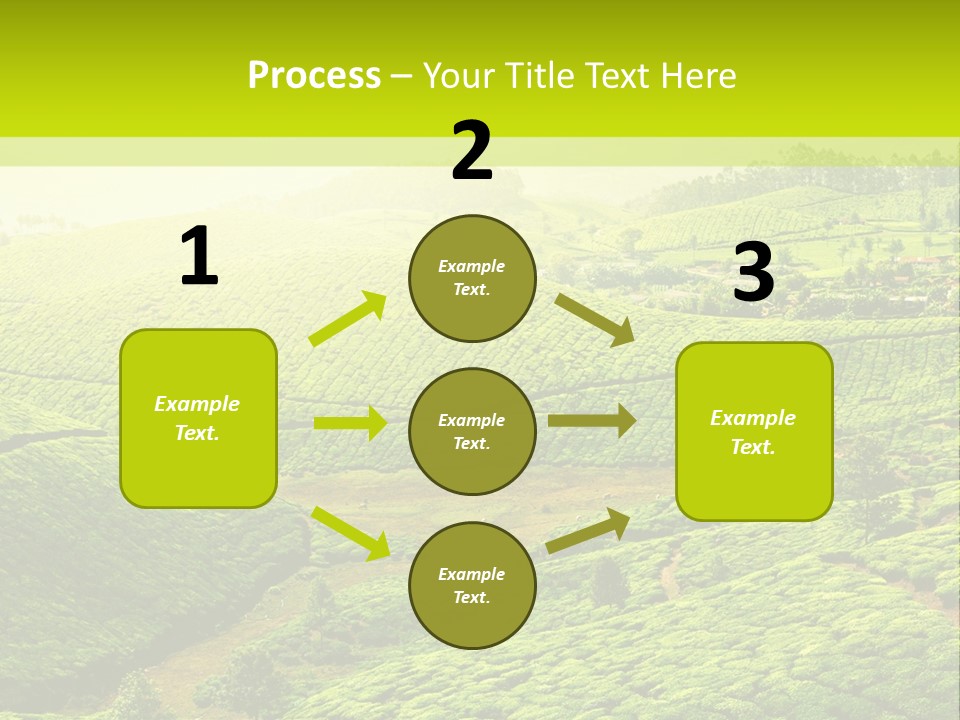 South Morning Asia PowerPoint Template