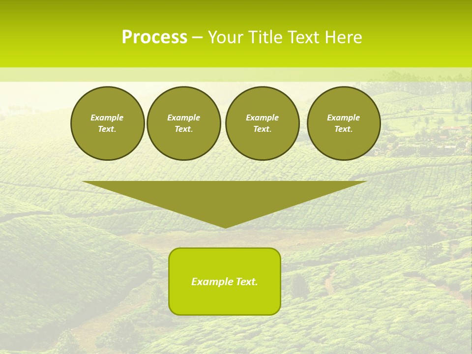 South Morning Asia PowerPoint Template