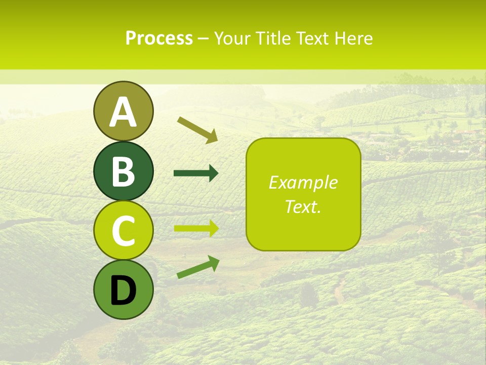 South Morning Asia PowerPoint Template