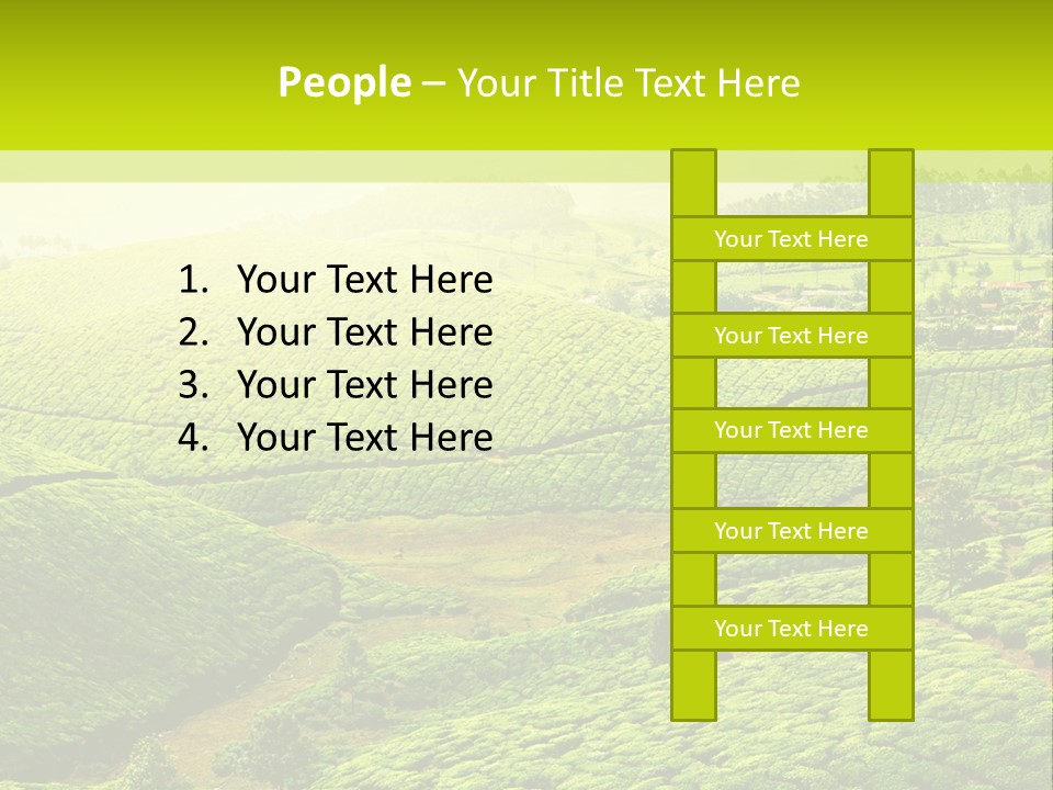 South Morning Asia PowerPoint Template