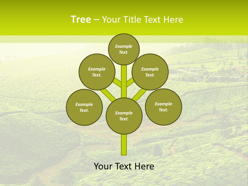 South Morning Asia PowerPoint Template