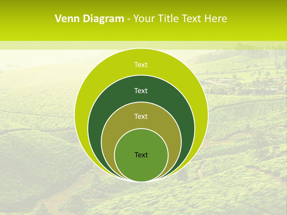 South Morning Asia PowerPoint Template
