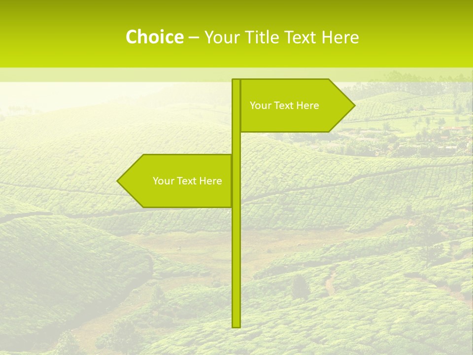 South Morning Asia PowerPoint Template