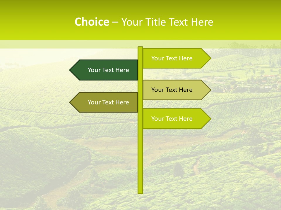 South Morning Asia PowerPoint Template