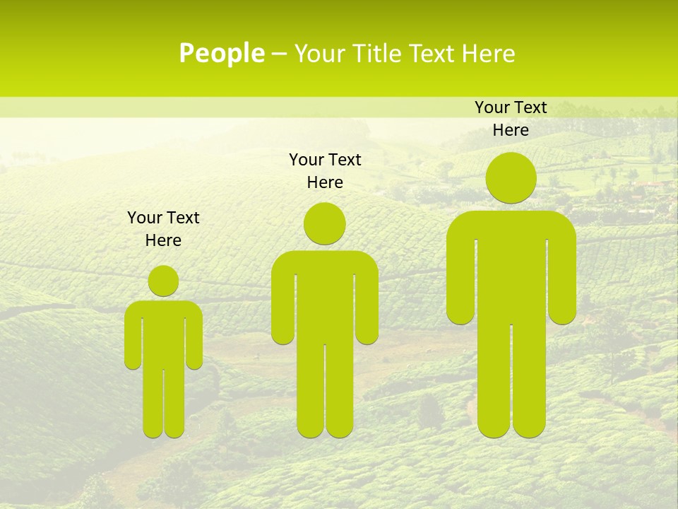 South Morning Asia PowerPoint Template