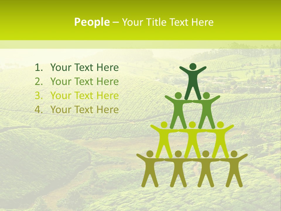 South Morning Asia PowerPoint Template