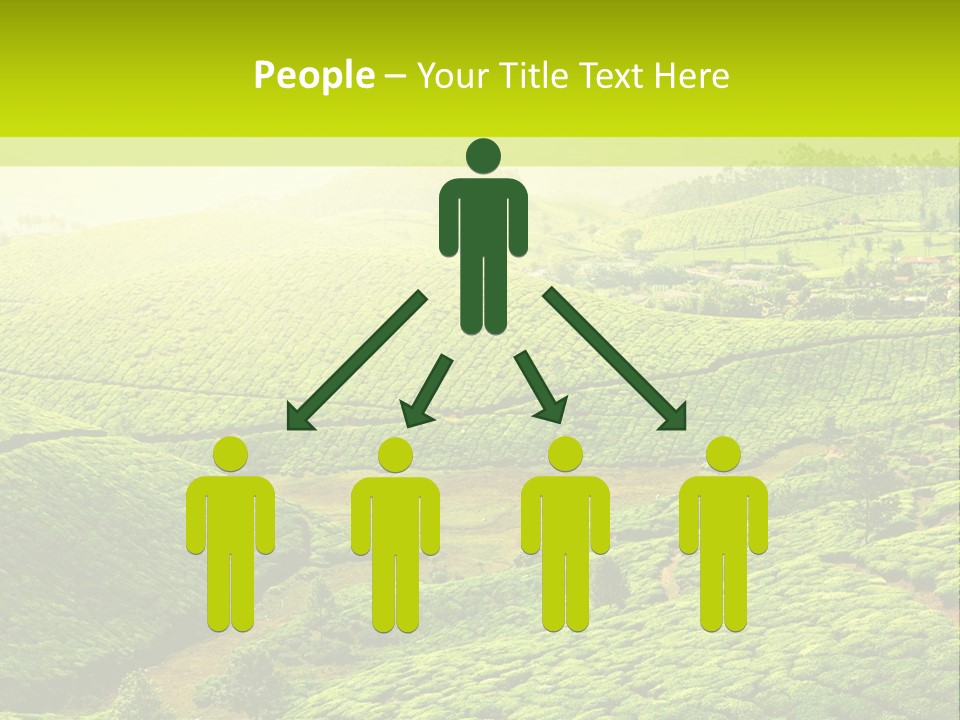 South Morning Asia PowerPoint Template