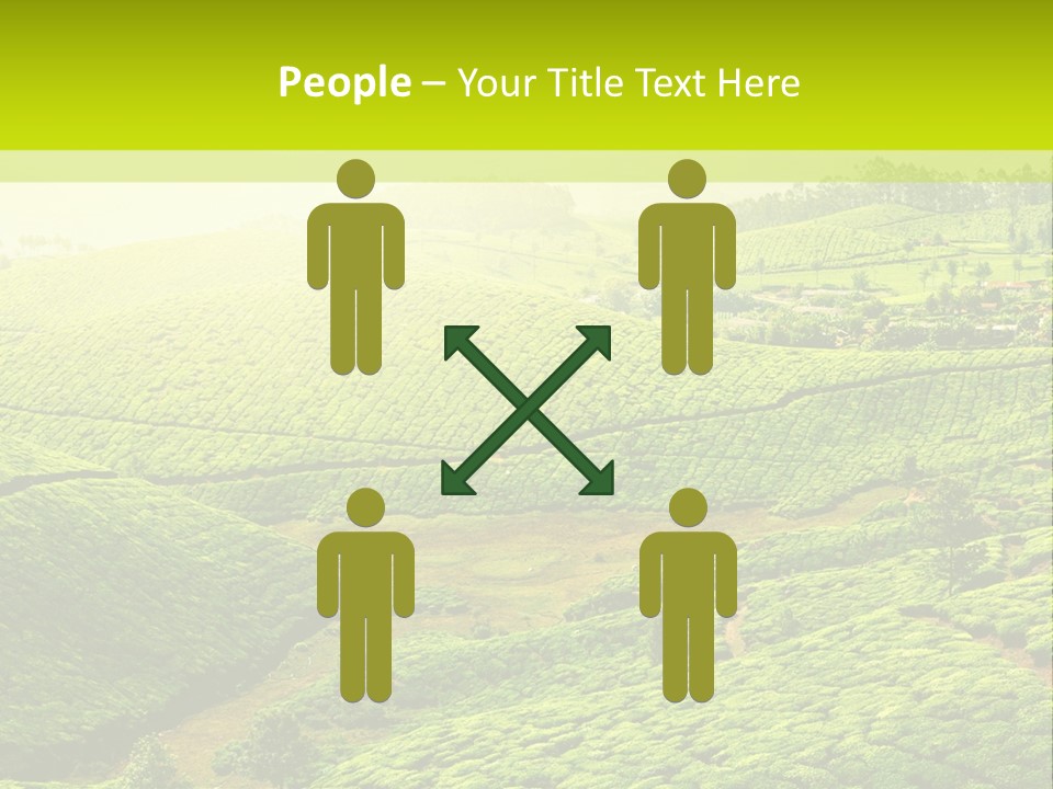 South Morning Asia PowerPoint Template