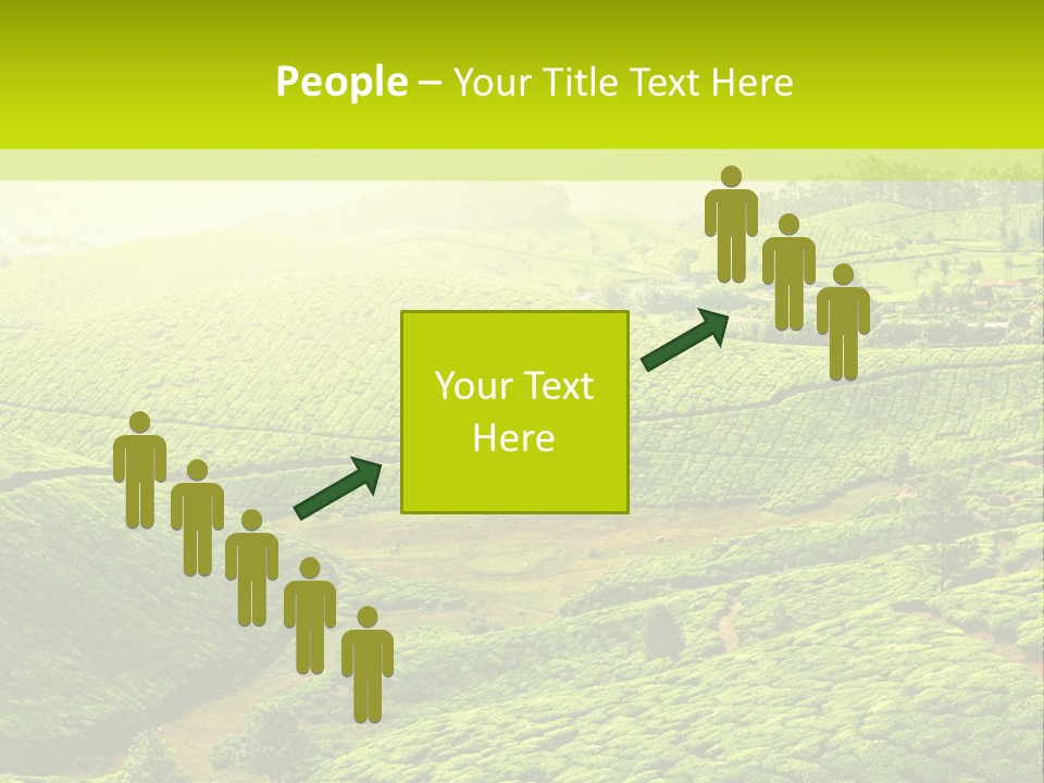 South Morning Asia PowerPoint Template