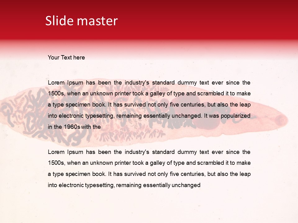 Uterus Eggs Ant PowerPoint Template