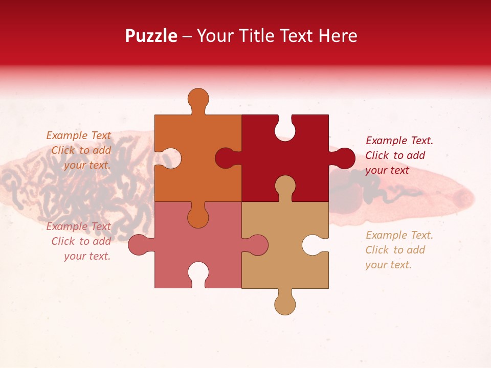 Uterus Eggs Ant PowerPoint Template