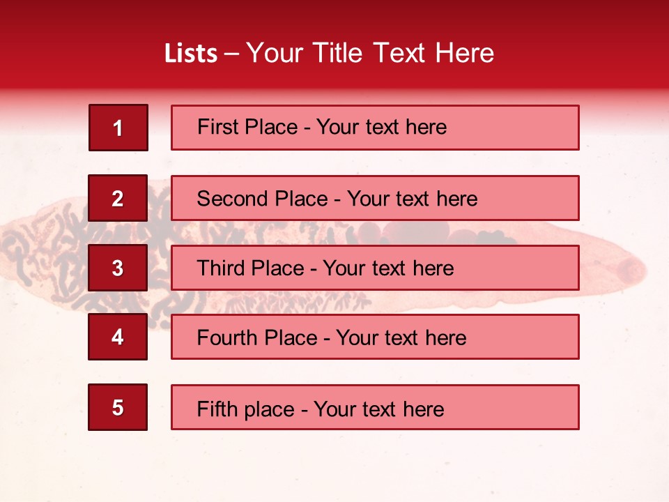 Uterus Eggs Ant PowerPoint Template