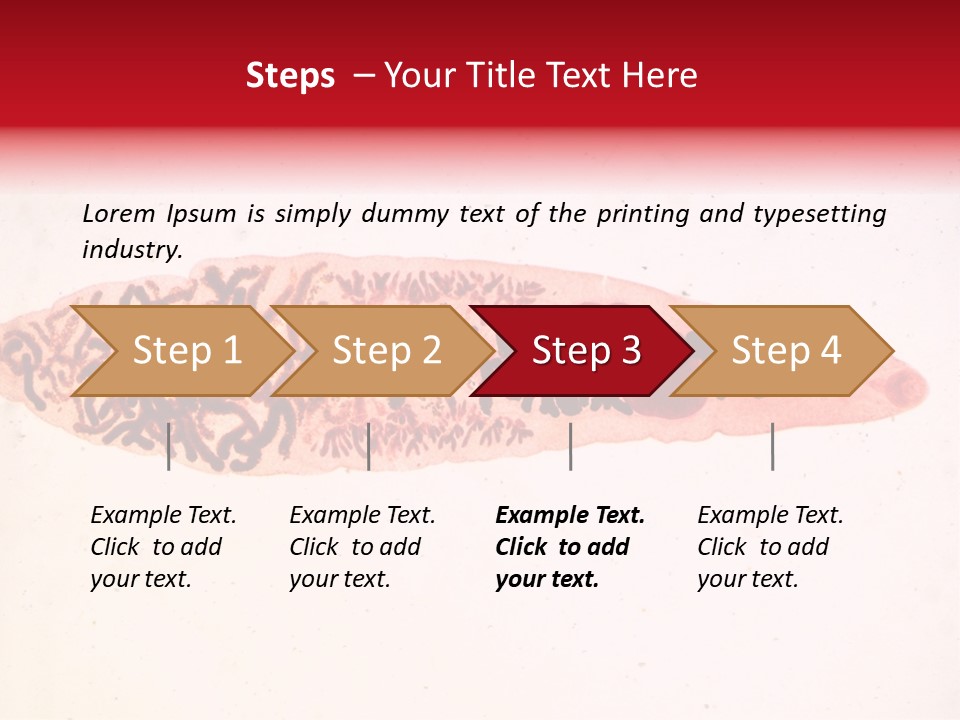Uterus Eggs Ant PowerPoint Template