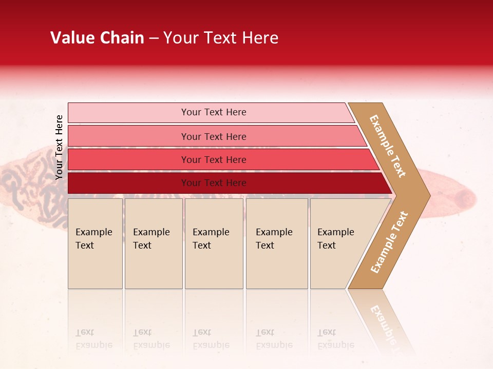 Uterus Eggs Ant PowerPoint Template