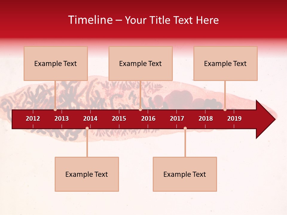 Uterus Eggs Ant PowerPoint Template