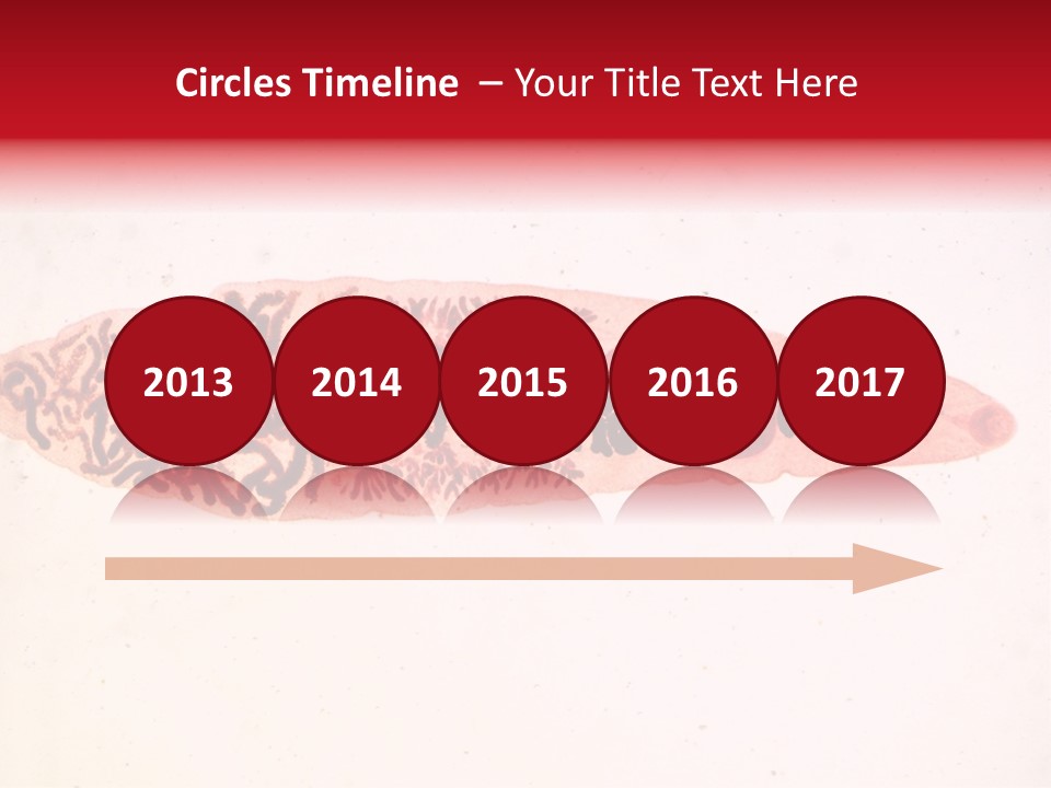 Uterus Eggs Ant PowerPoint Template