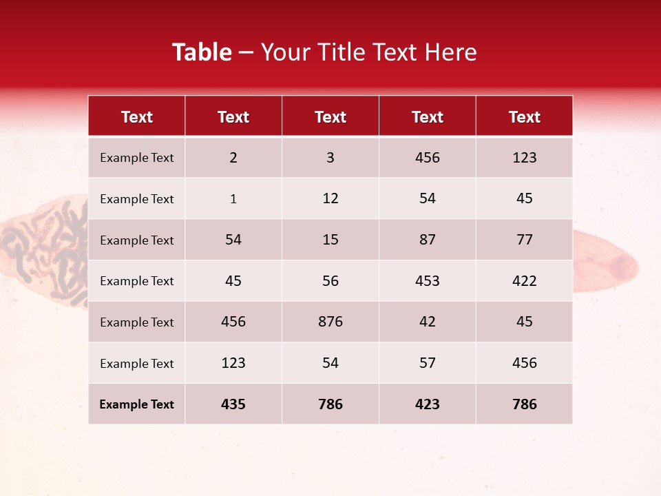 Uterus Eggs Ant PowerPoint Template