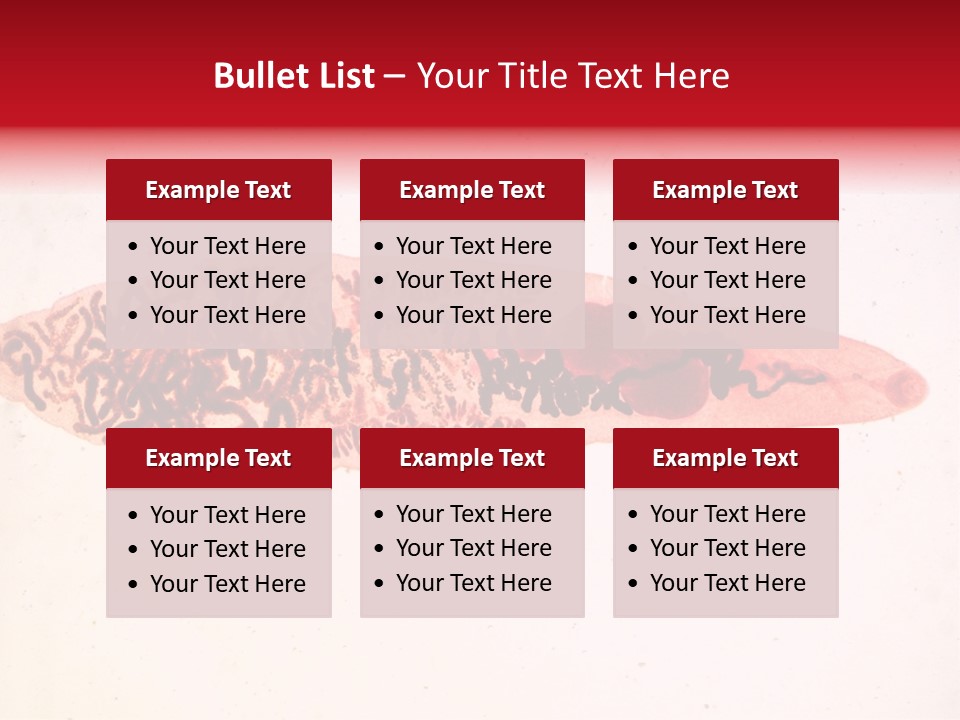 Uterus Eggs Ant PowerPoint Template