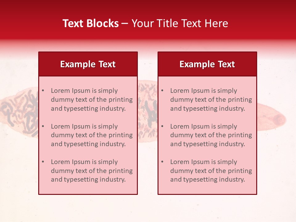 Uterus Eggs Ant PowerPoint Template