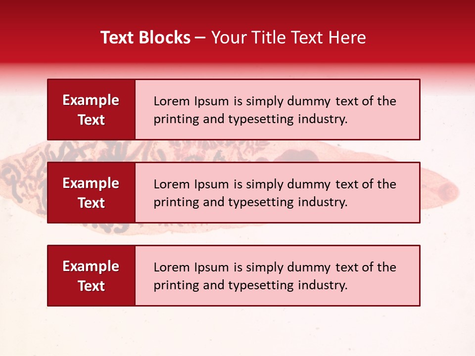 Uterus Eggs Ant PowerPoint Template