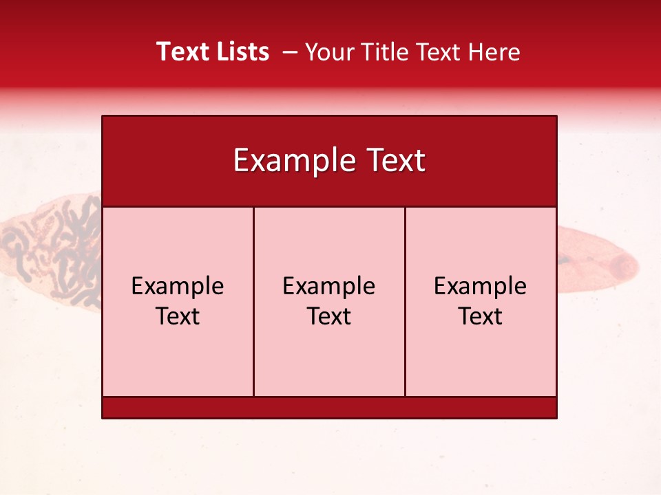 Uterus Eggs Ant PowerPoint Template