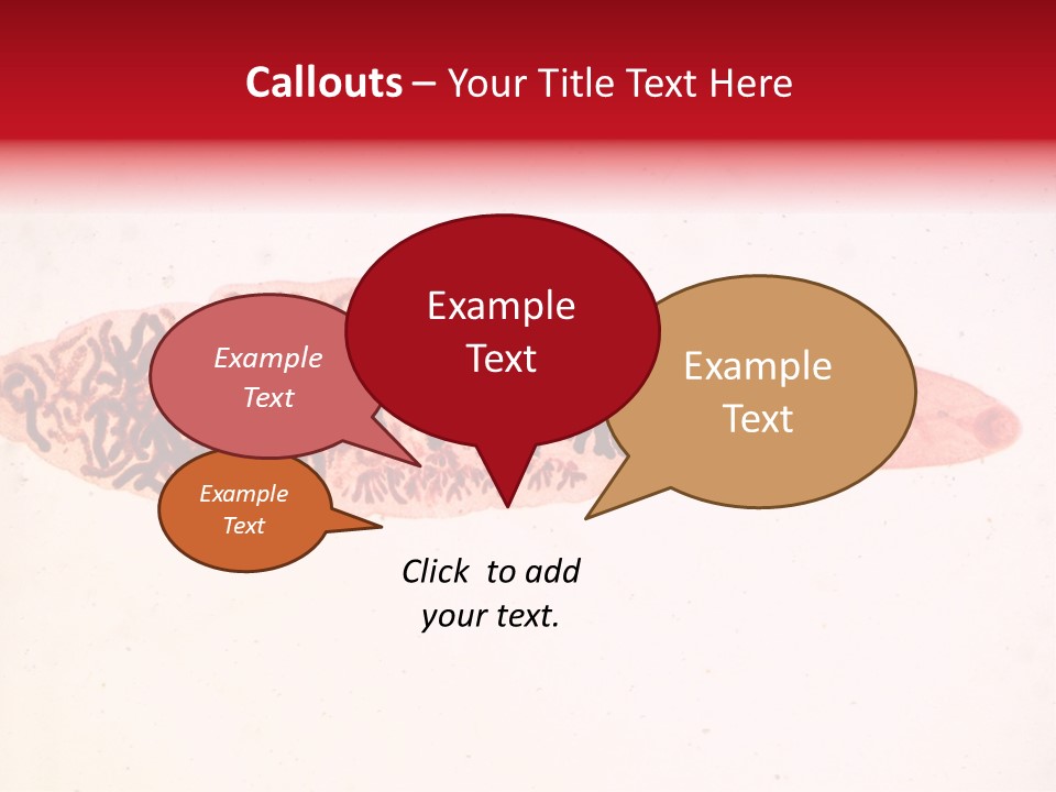 Uterus Eggs Ant PowerPoint Template