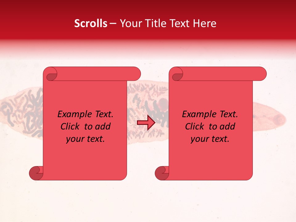 Uterus Eggs Ant PowerPoint Template