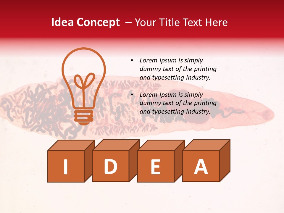 Uterus Eggs Ant PowerPoint Template