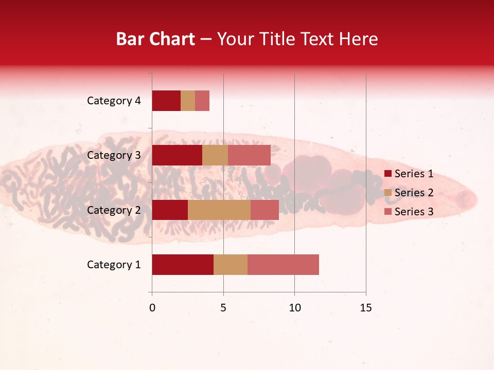 Uterus Eggs Ant PowerPoint Template