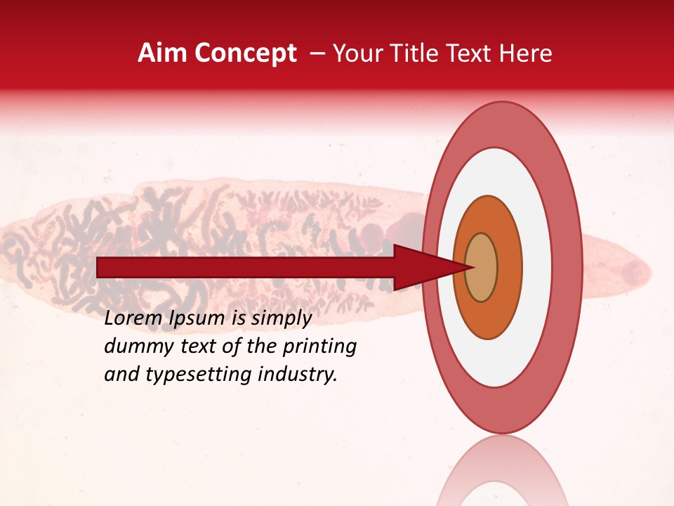Uterus Eggs Ant PowerPoint Template