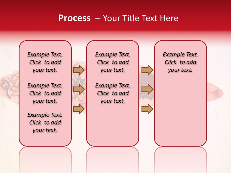 Uterus Eggs Ant PowerPoint Template