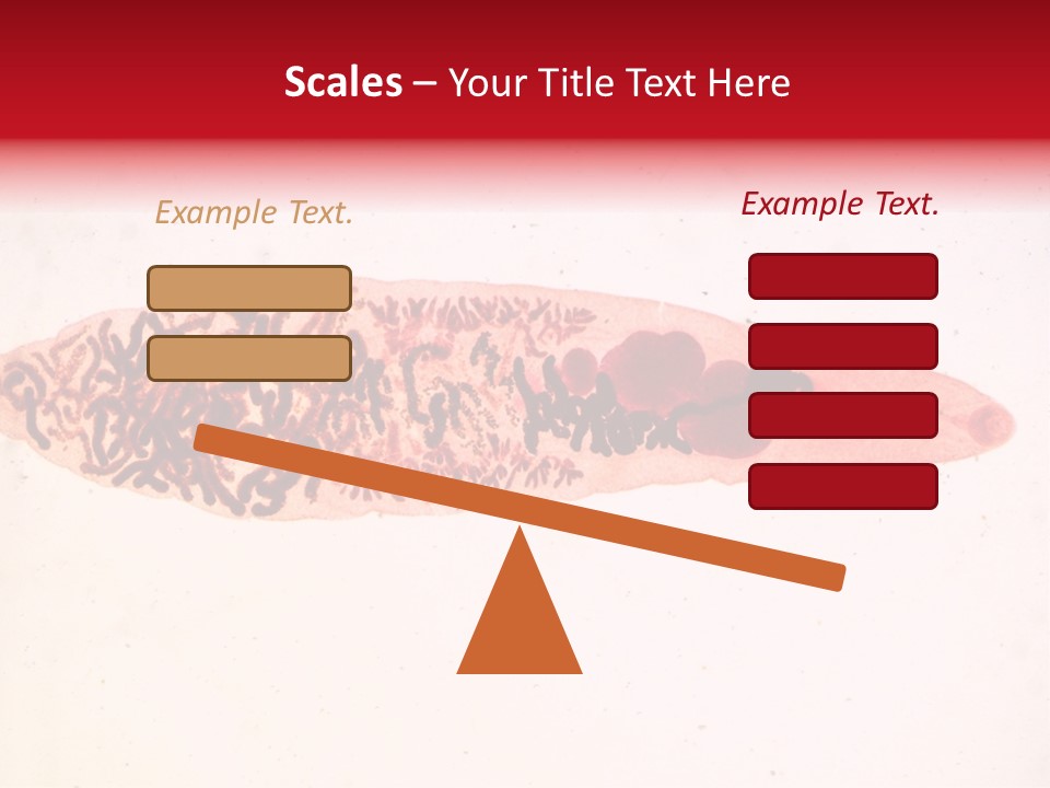 Uterus Eggs Ant PowerPoint Template