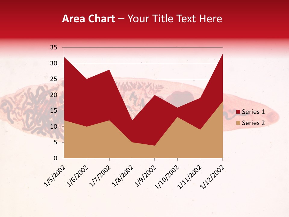 Uterus Eggs Ant PowerPoint Template
