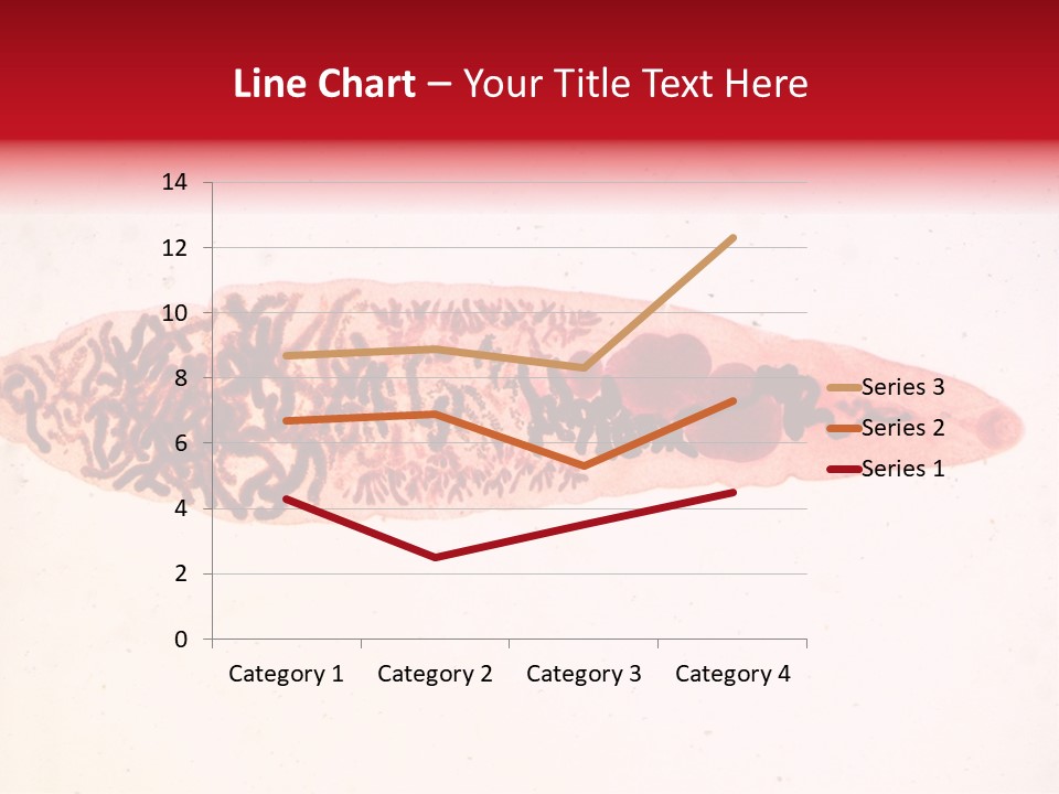 Uterus Eggs Ant PowerPoint Template