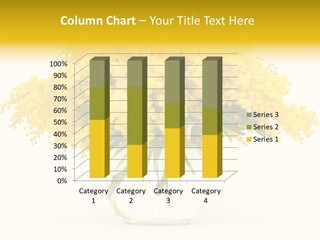 Bloom Acacia Glass PowerPoint Template