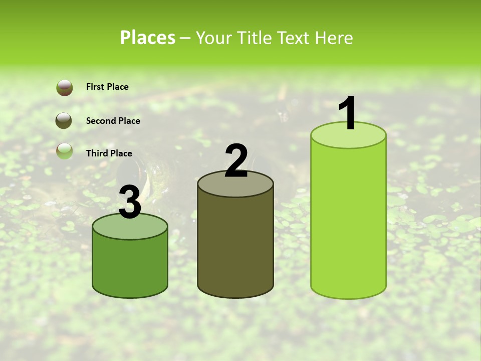 Wildlife Water Outdoors PowerPoint Template