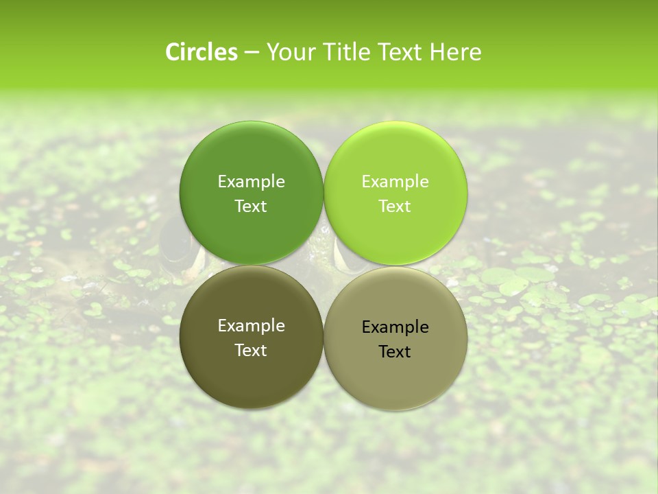 Wildlife Water Outdoors PowerPoint Template