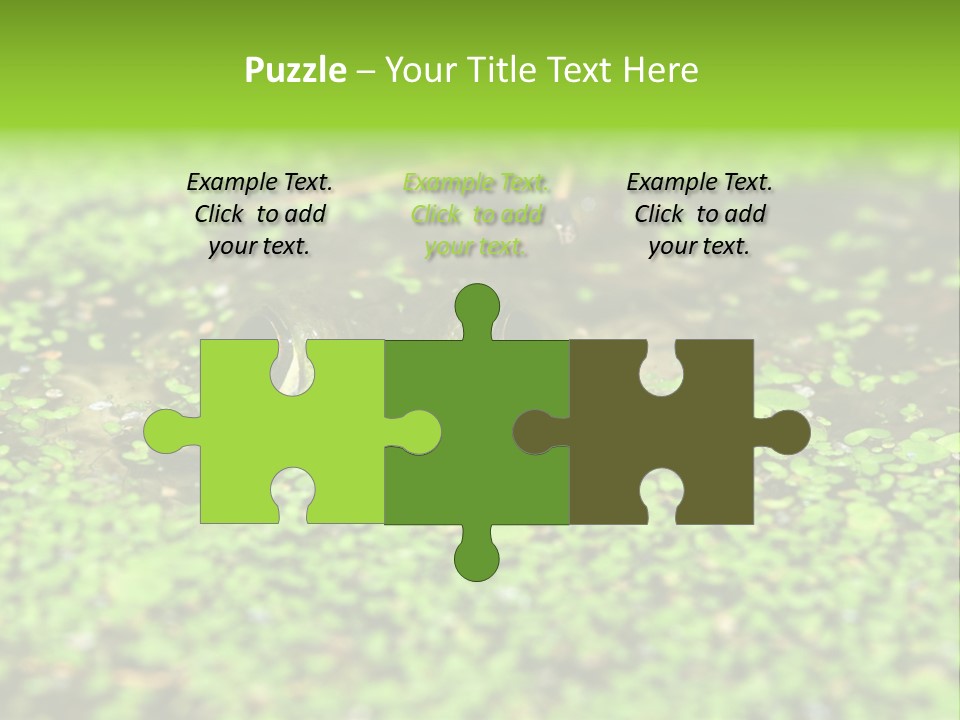 Wildlife Water Outdoors PowerPoint Template