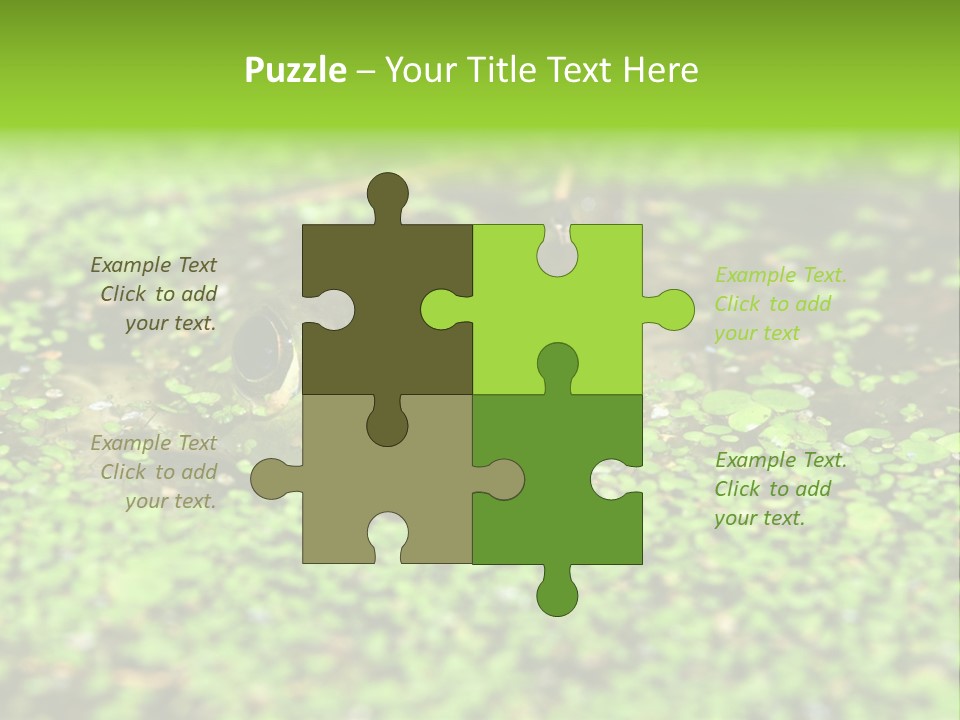 Wildlife Water Outdoors PowerPoint Template