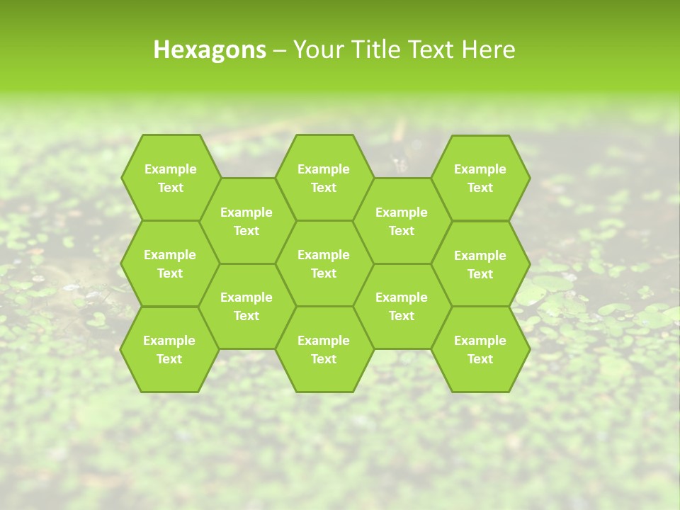 Wildlife Water Outdoors PowerPoint Template