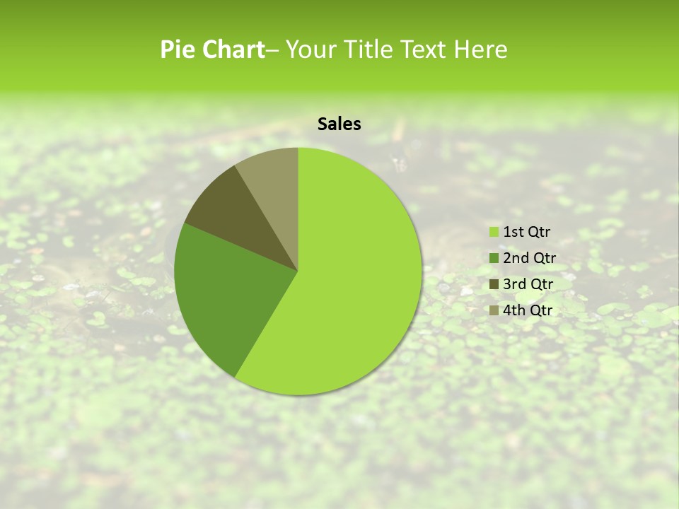 Wildlife Water Outdoors PowerPoint Template