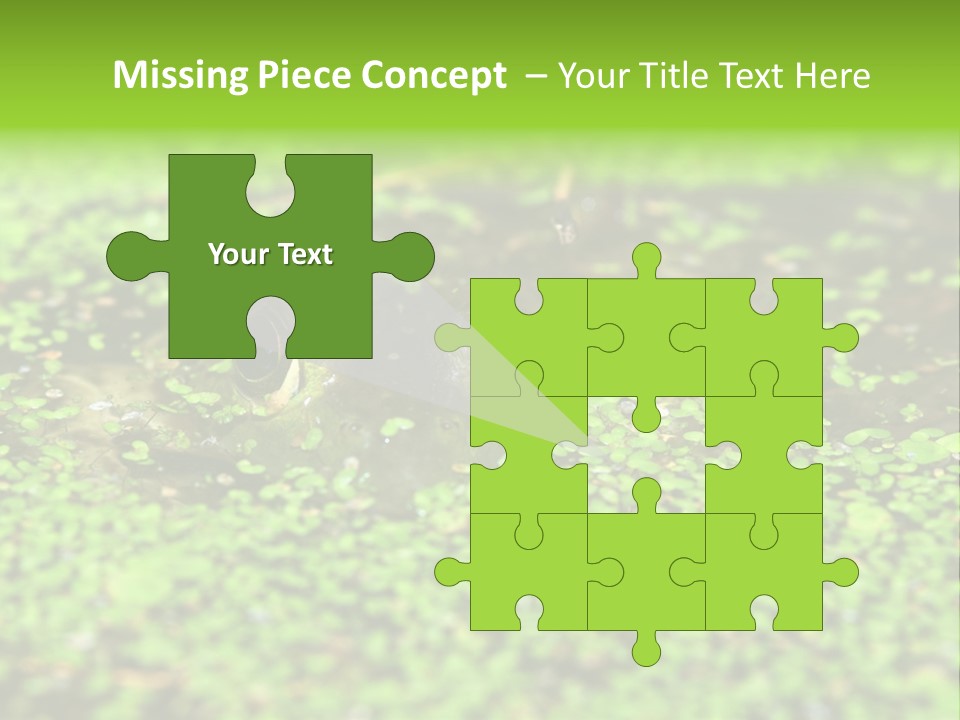 Wildlife Water Outdoors PowerPoint Template