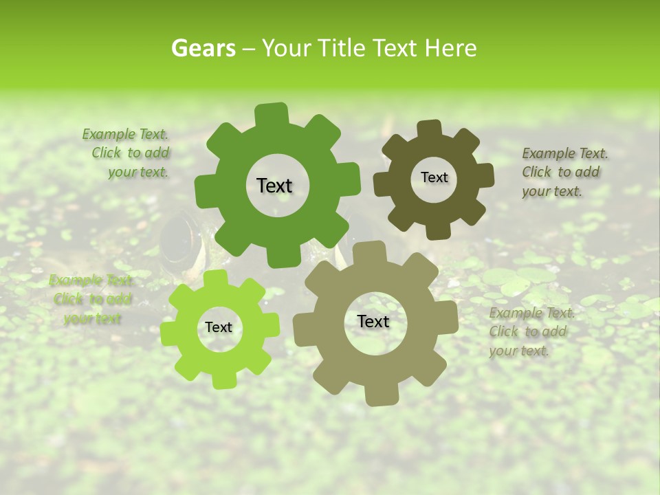 Wildlife Water Outdoors PowerPoint Template