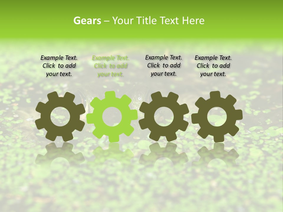 Wildlife Water Outdoors PowerPoint Template