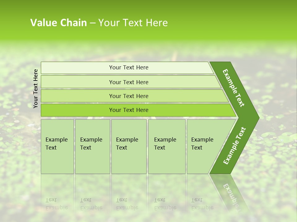 Wildlife Water Outdoors PowerPoint Template