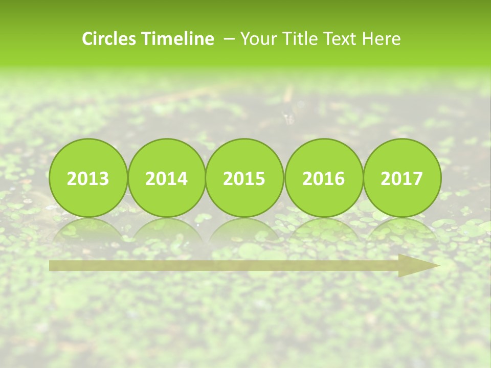 Wildlife Water Outdoors PowerPoint Template