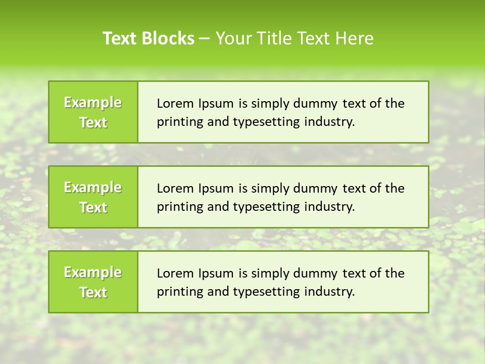 Wildlife Water Outdoors PowerPoint Template