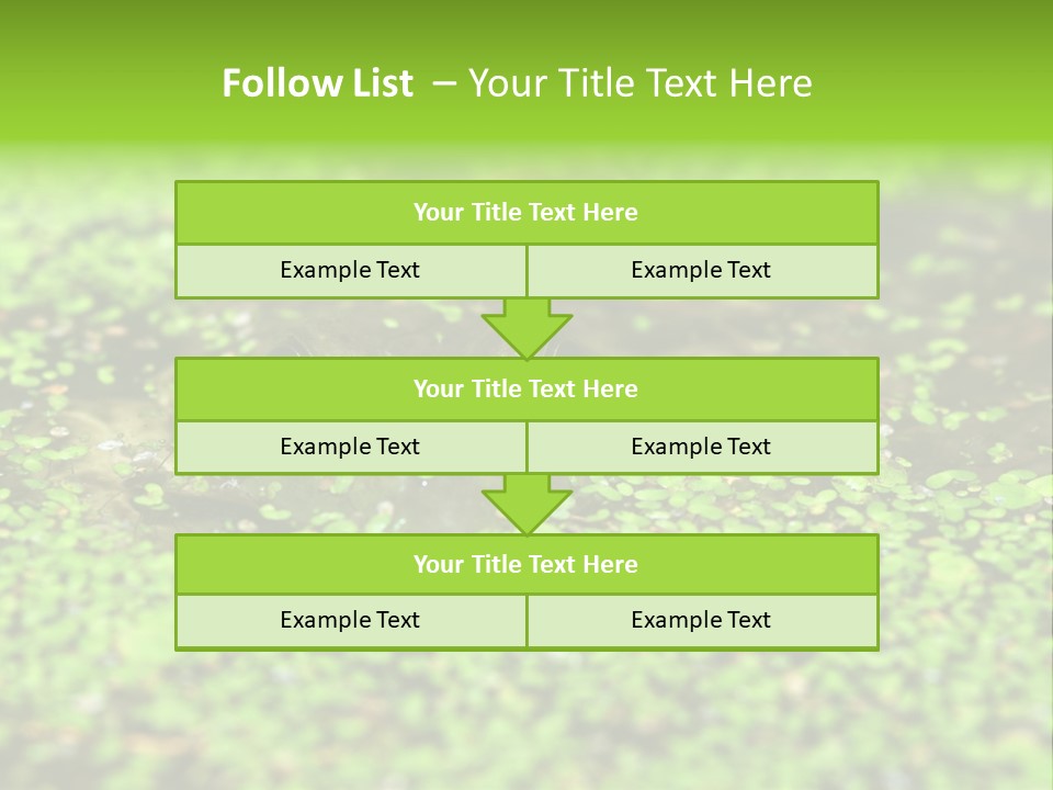 Wildlife Water Outdoors PowerPoint Template